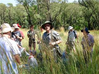 Indigenous Grassland Biodiversity Walk with Prof Braam van Wyk